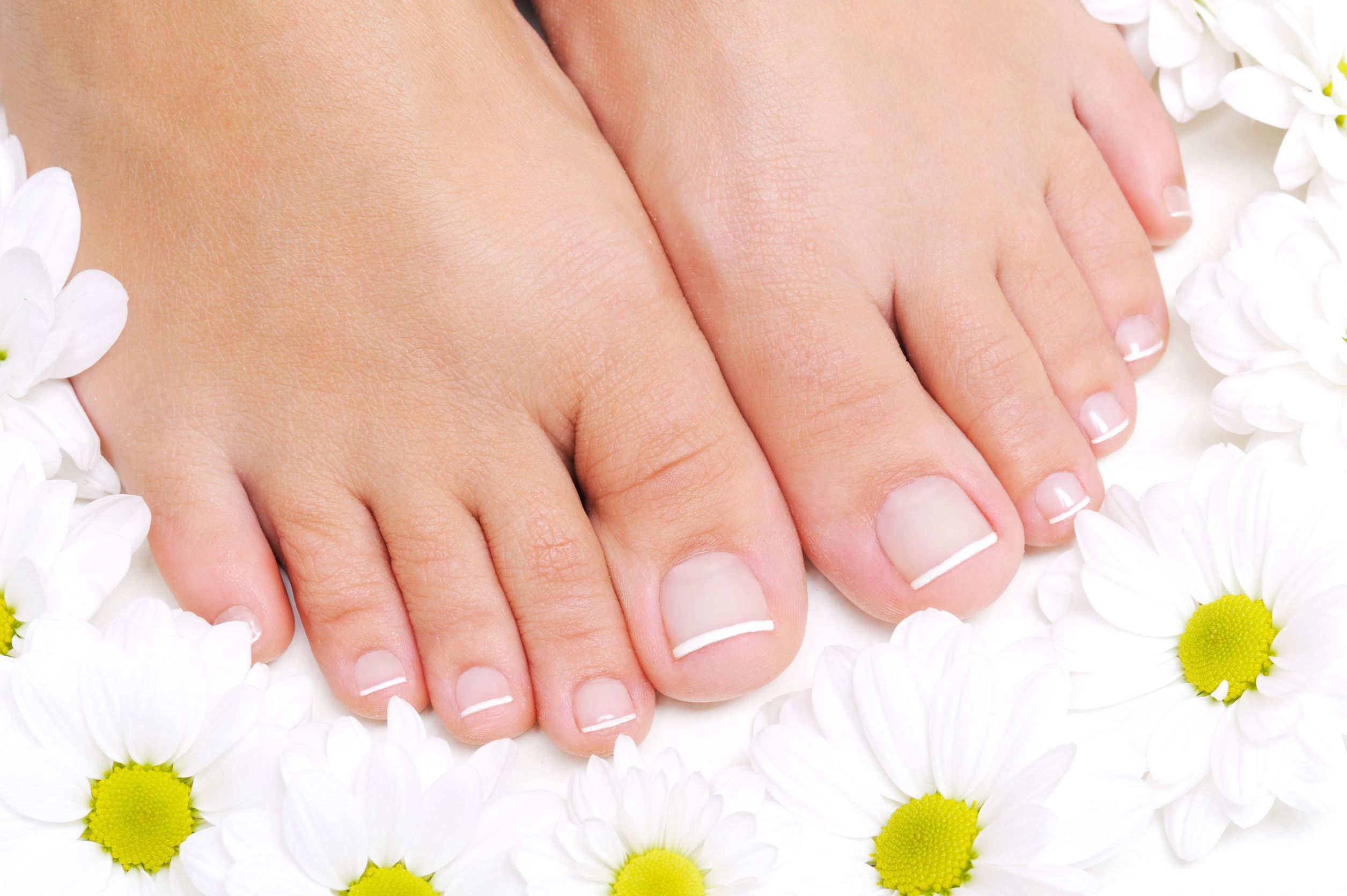5962067 - flowers around beautiful female feet with the french pedicure